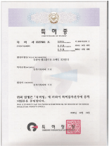 Patent