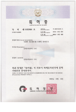 Patent