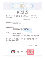 Patent