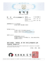 Patent